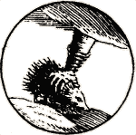 Ежик